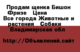 Продам щенка Бишон Фризе › Цена ­ 30 000 - Все города Животные и растения » Собаки   . Владимирская обл.